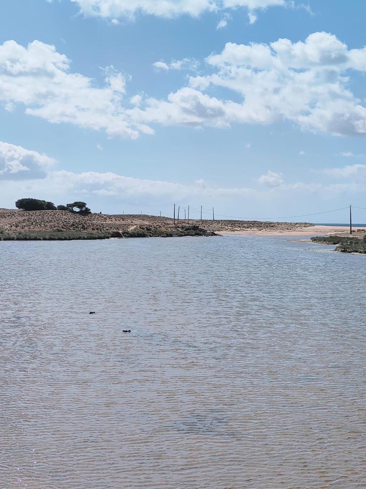 Bayline- Beachfront And Pool Armação de Pêra المظهر الخارجي الصورة